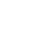 BV - White icon