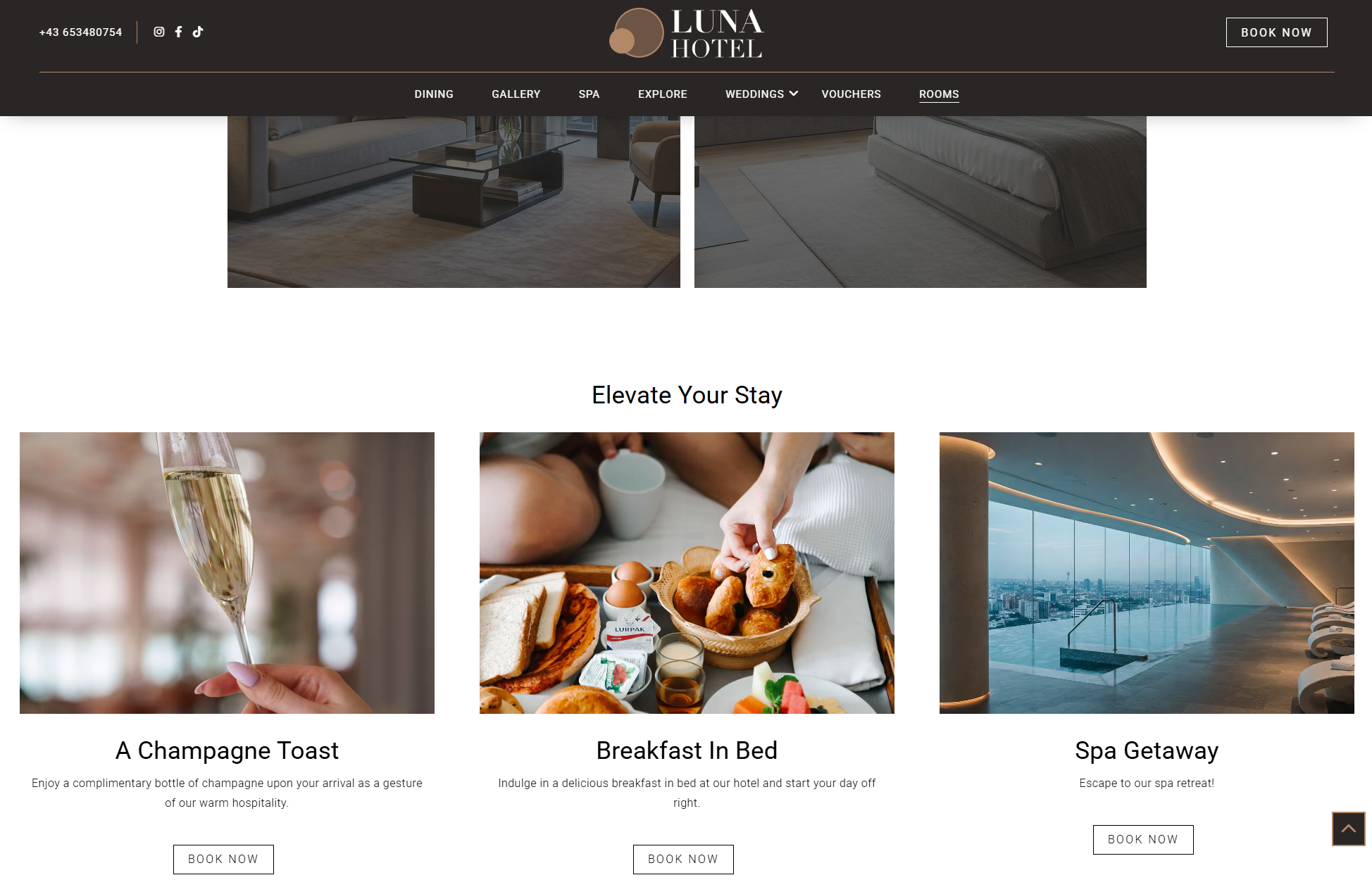 Web Design Page - Luna Hotel